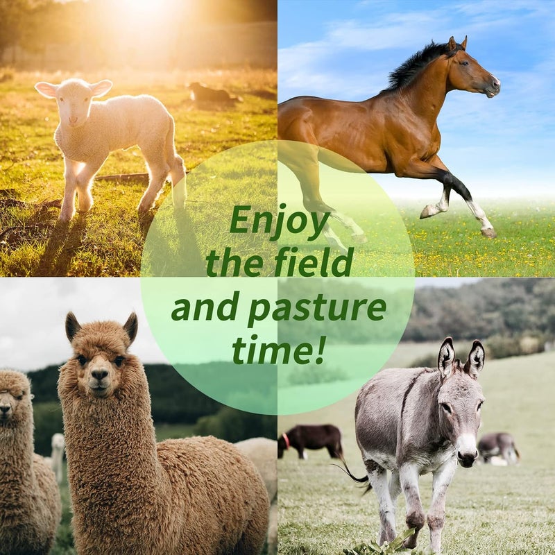 RideFound 17 Inch Horse Play Balls Anti-Burst Herding Ball for Horse Mega Equine Ball for Play Training Horses Soccer Balls - Image 3